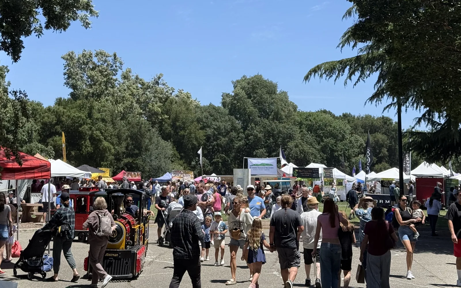 A community art and wine festival event at a park in Walnut Creek, with vendors, attendees, and public gathering spaces
