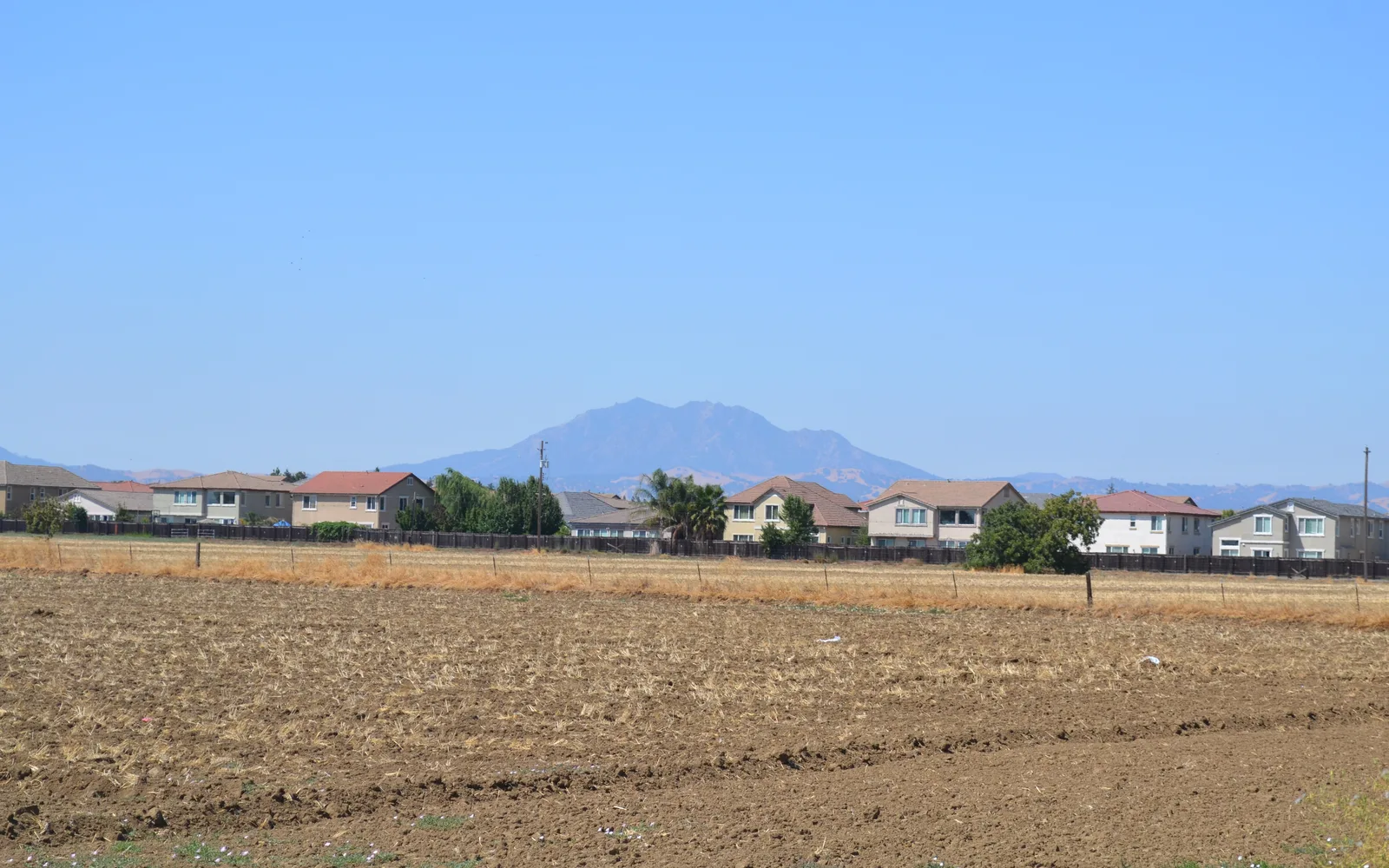 Mount Diablo's distinctive peak rises from rolling hills and grassland under a clear sky